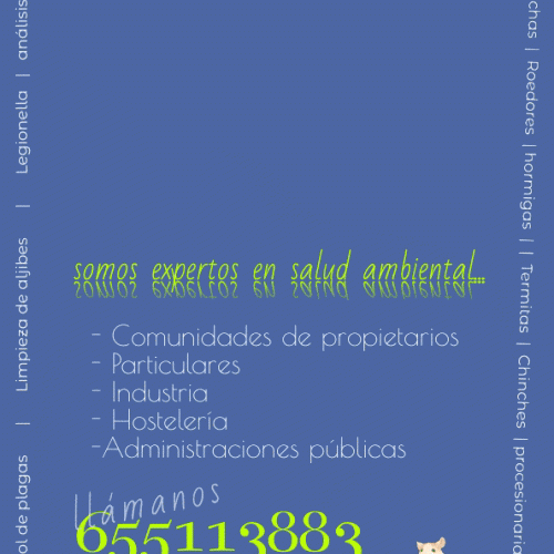 animacion plagas1