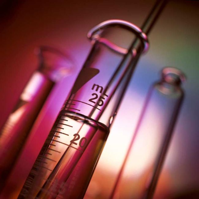 Seguridad alimentaria